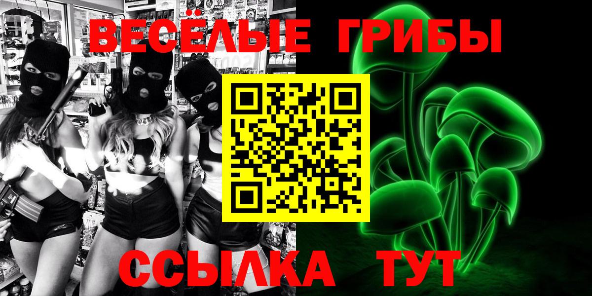 Зерноград  Псилоцибиновые грибы ЛСД  Вход с VPN 