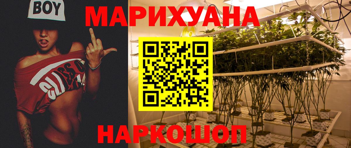 Зерноград  Бошки Шишки MAZAR  Бошки Шишки семена  Вход с VPN 